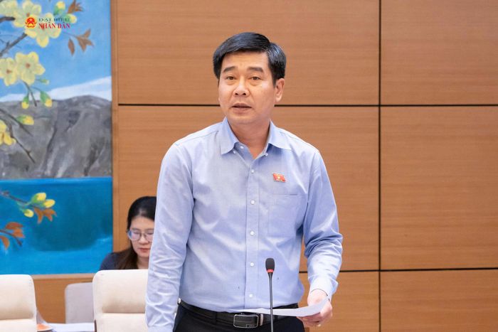 ĐBQH hoạt động chuyên trách tại Ủy ban Pháp luật và Tư pháp Lê Thanh Hoàn phát biểu