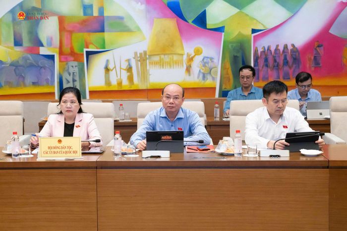 Các đại biểu dự phiên họp