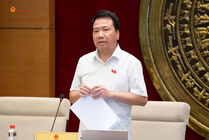 Phó Chủ nhiệm Ủy ban Pháp luật và Tư pháp Ngô Trung Thành phát biểu