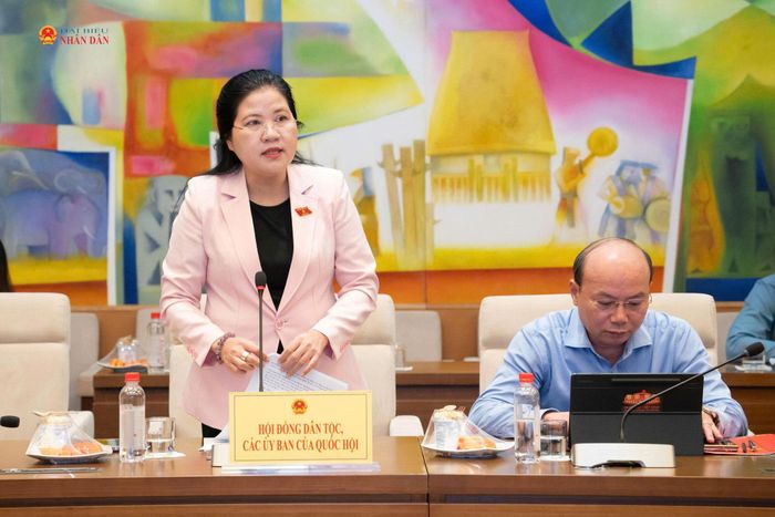 Phó Chủ tịch Hội đồng Dân tộc Đinh Thị Phương Lan phát biểu