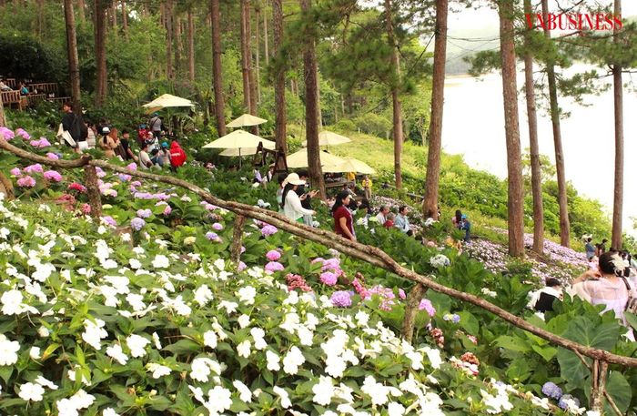 Chương trình mục tiêu quốc gia hỗ trợ các HTX ở Lâm Đồng gắn sản xuất nông nghiệp với du lịch sinh thái, mở thêm hướng tiêu thụ nông sản.
