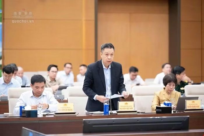 Thứ trưởng Bộ Công thương Nguyễn Việt Sơn trình bày tờ trình.