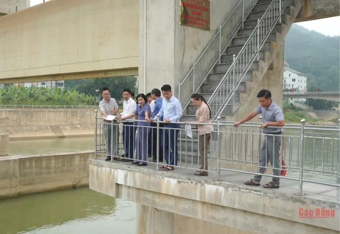 Đoàn giám sát thực địa dự án đập dâng nước.