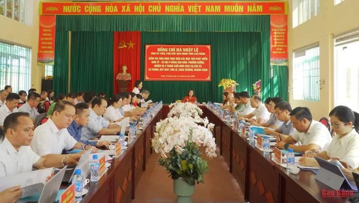 Các đại biểu tham dự buổi làm việc.