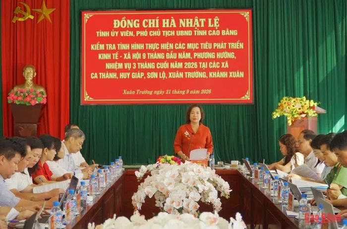 Phó Chủ tịch UBND tỉnh Hà Nhật Lệ phát biểu kết luận.