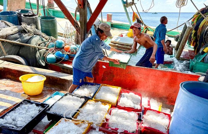 Ðời sống ngư dân Cà Mau bám biển dài ngày khiến việc tiếp cận dòng thông tin chính thống đôi lúc còn chậm trễ. (Ảnh chụp tại ấp Biển Tây, xã Sông Ðốc).