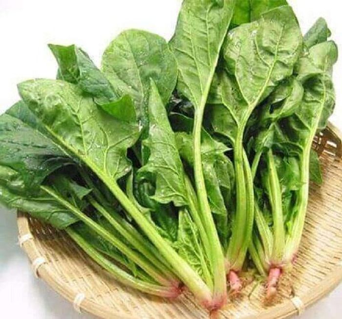 Tại Việt Nam, cải bó xôi được bán khá phổ biến ở chợ, siêu thị và cửa hàng thực phẩm - Ảnh minh hoạ