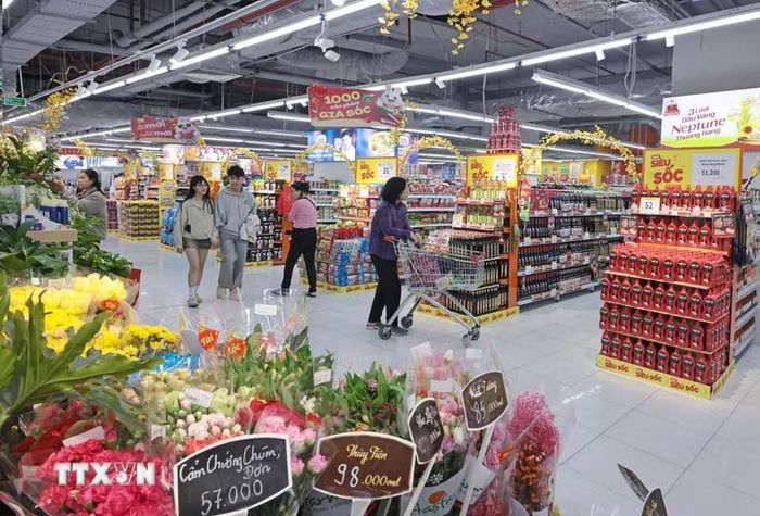 Saeki đào tạo nhân sự cho kế hoạch mở 100 siêu thị tại Việt Nam. (Ảnh minh họa. Trần Việt/TTXVN)