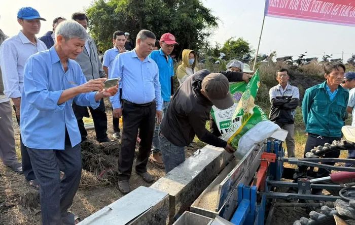 Máy sạ cụm kết hợp bón vùi phân Đầu Trâu trên ruộng mô hình. (Ảnh: Q. Huy).