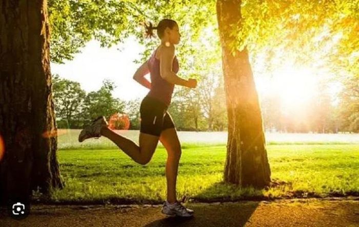 Những hoạt động vào buổi sáng, dưới ánh nắng mặt trời rất thích hợp vào mùa thu.