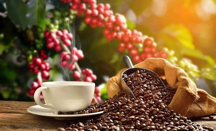 Giá cà phê hôm nay trên thị trường quốc tế chưa biến động. (Ảnh: Shutterstock)