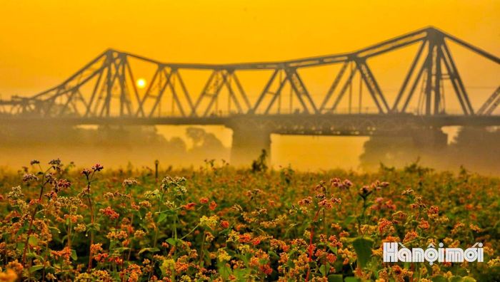Nắng sớm phủ lên những thanh thép nhuốm màu thời gian, làm nổi bật vẻ đẹp đặc biệt của cây cầu đã gắn bó với Hà Nội qua nhiều thế hệ. Ảnh: NAG Nguyễn Quốc Vượng