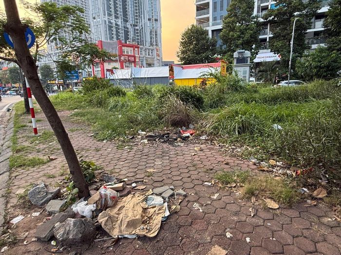 Nhiều thời điểm, vườn hoa này còn bị rác "tấn công", gây mất mỹ quan đô thị. Ảnh: PV