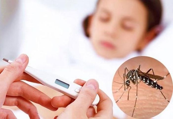 Sau mưa, mọi người đều cần cảnh giác với bệnh sốt xuất huyết, người bị rồi cũng vẫn có nguy cơ bị lại. (Ảnh minh hoạ)