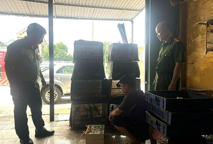 Lực lượng chức năng kiểm tra, phát hiện vi phạm liên quan đến động vật rừng trên địa bàn xã Thanh Liêm. Ảnh: Công an tỉnh Ninh Bình.