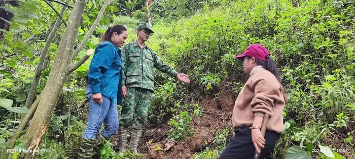 Đỉnh núi Pơrlai xuất hiện nhiều vết nứt. Ảnh: Trường Anh