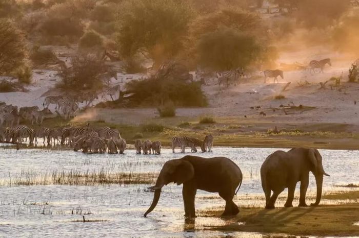Ngày 30/9/2026 sẽ đánh dấu 60 năm kể từ khi Botswana giành độc lập từ Anh.