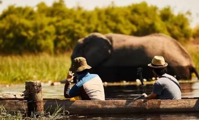 Theo quy định, hoạt động săn phải tuân thủ các điều kiện trong giấy phép và được phối hợp với cộng đồng cùng cơ quan quản lý động vật hoang dã.
