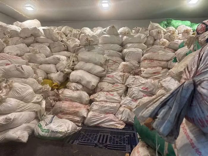 Công an Hà Nội kiểm tra, phát hiện hơn 60 tấn lòng lợn được cấp đông trong thời gian dài, có dấu hiệu biến màu, bốc mùi, không bảo đảm an toàn thực phẩm