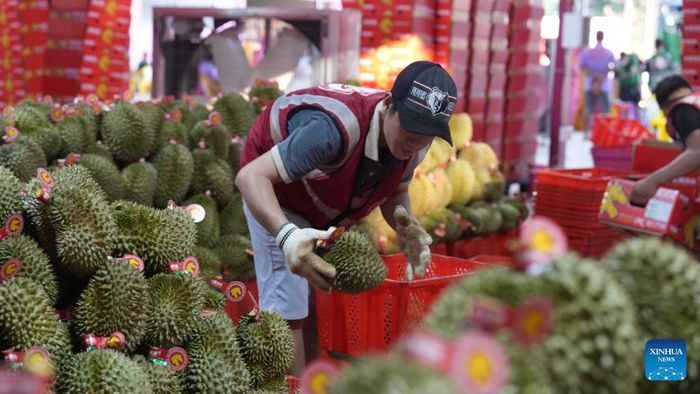  Hàng nghìn ha sầu riêng đang được mở rộng tại Hải Nam khi người tiêu dùng Trung Quốc ngày càng chuộng loại quả này. Ảnh: Tân Hoa Xã. 