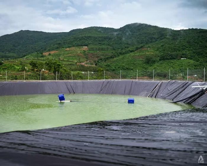  Hồ chứa nước trên đỉnh đồi của một trang trại sầu riêng tại Hải Nam. Ảnh: CNA. 