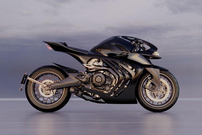 Khác với 2 mẫu superbike trên, AMB 002 Roadster có thể sử dụng trên đường phố, mang đến nhiều trang bị an toàn như hệ thống đèn pha, chắn bùn tích hợp biển số...
