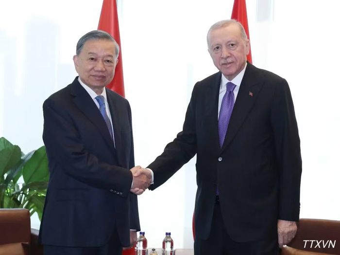 Tổng Bí thư, Chủ tịch nước Tô Lâm gặp Tổng thống Thổ Nhĩ Kỳ Recep Tayyip Erdogan. (Ảnh: TTXVN)
