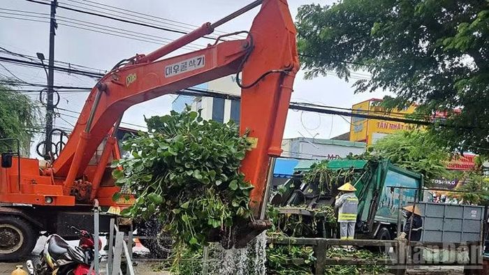 Công ty Cổ phần Môi trường đô thị Quảng Nam dọn dẹp rác, khơi thông cống thoát nước. (Ảnh: ANH QUÂN)