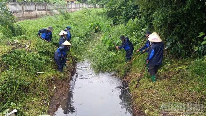 Công nhân Công ty Cổ phần Môi trường đô thị Quảng Nam nạo vét, khơi thông mương thoát nước nhằm chống ngập úng đô thị trước mùa mưa năm 2026. (Ảnh: ANH QUÂN)