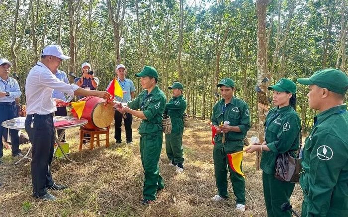 Thí sinh dự hội thi bốc thăm số thứ tự thi tại vườn cây. (Ảnh: LÊ LAN)