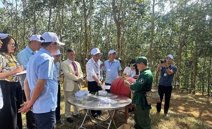 Thí sinh dự thi thực hiện bốc thăm số ngẫu nhiên cây cạo để chấm điểm. (Ảnh: LÊ LAN)