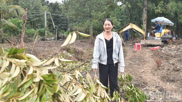 Bà Lê Thị Đón có mặt tại vườn để chứng kiến lực lượng K91 tìm kiếm, quy tập hài cốt liệt sĩ. (Ảnh: NGUYỄN SỰ)