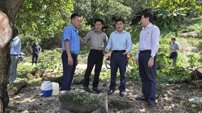 Lãnh đạo các cơ quan chức năng có hiện trường. (Ảnh: ĐỨC LINH)