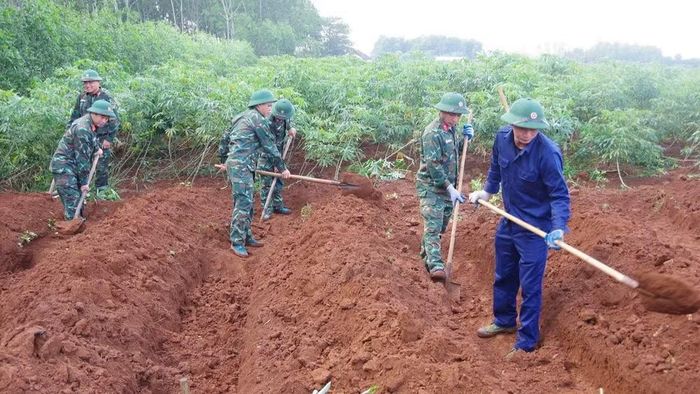 Đội tìm kiếm, quy tập hài cốt liệt sĩ số 2, Phòng Chính trị, Bộ Chỉ huy quân sự tỉnh Quảng Trị tiến hành tìm kiếm hài cốt 11 liệt sĩ đặc công hy sinh tại khu vực Dốc Miếu, xã Gio Linh. (Ảnh: Xuân Diện)