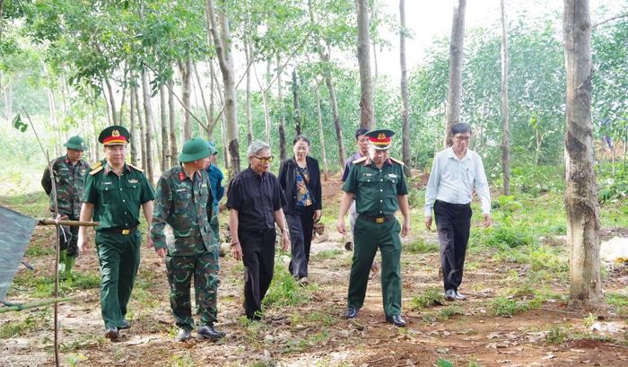 Lãnh đạo Bộ Chỉ huy quân sự tỉnh Quảng Trị kiểm tra, chỉ đạo công tác tìm kiếm hài cốt 11 liệt sĩ đặc công hy sinh tại khu vực Dốc Miếu, xã Gio Linh. (Ảnh: Xuân Diện)