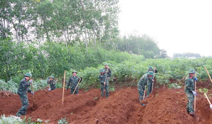 Đội tìm kiếm, quy tập hài cốt liệt sĩ số 2, Phòng Chính trị, Bộ Chỉ huy quân sự tỉnh Quảng Trị tiến hành tìm kiếm hài cốt 11 liệt sĩ đặc công hy sinh tại khu vực Dốc Miếu, xã Gio Linh. (Ảnh: Xuân Diện)