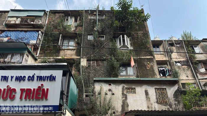 Tình trạng cơi nới diễn ra tại nhiều tòa nhà. Những khung sắt, kết cấu bê-tông được người dân dựng thêm tạo thành các “chuồng cọp”, có vị trí vươn ra nhiều mét so với diện tích căn hộ ban đầu.