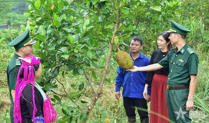 Cán bộ Đồn Biên phòng Bắc Sơn (Ban chỉ huy BĐBP TP Quảng Ninh) triển khai vườn cây kiểu mẫu cho nhân dân địa bàn xã Hải Sơn.