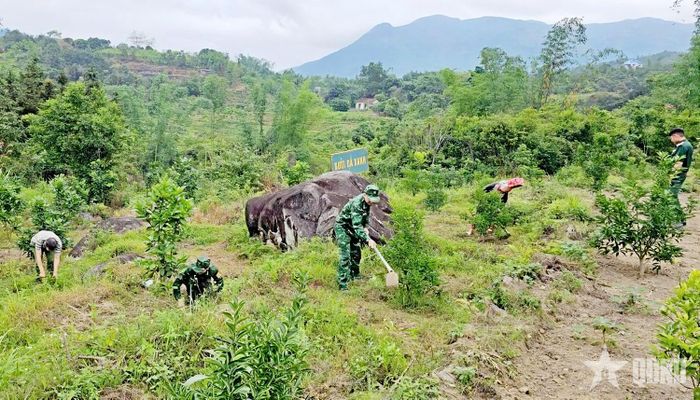 Cán bộ, chiến sĩ Đồn Biên phòng Hoành Mô (Ban Chỉ huy BĐBP thành phố Quảng Ninh) giúp dân chăm sóc vườn rừng trên địa bàn xã Hoành Mô.