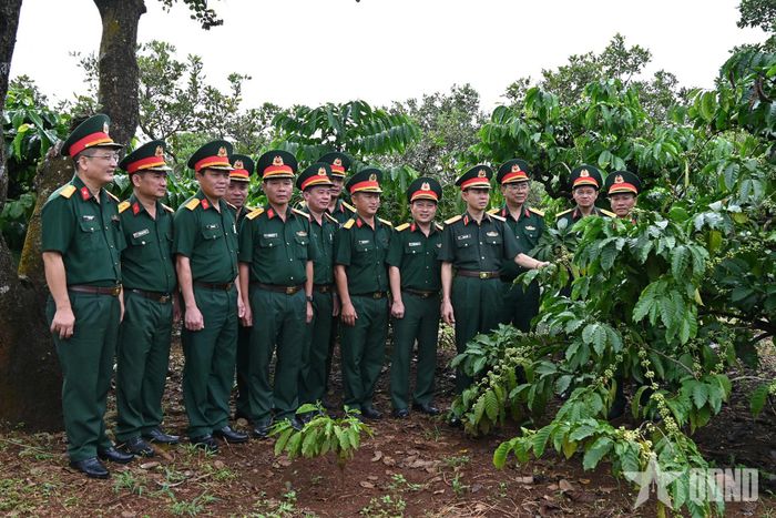 Đoàn công tác Binh đoàn 16 kiểm tra tại vườn cà phê của Đoàn Kinh tế - Quốc phòng 719.