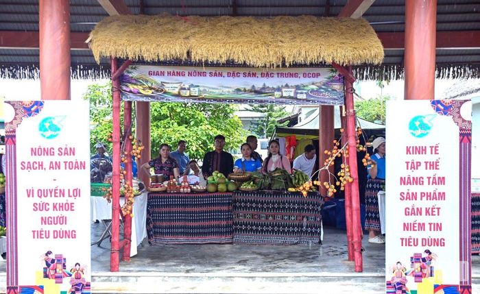  Gian hàng trưng bày tại Ngày hội.  