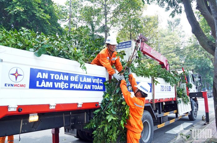  Lực lượng của Công ty Điện lực Vũng Tàu phát quang, bảo vệ hành lang đường dây điện tại đường Ngô Đức Kế, phường Tam Thắng, TP Hồ Chí Minh. 