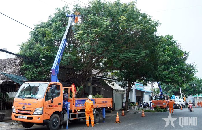  Công tác phát quang, cắt tỉa cây được thực hiện chủ động từ Công ty Điện lực Đất Đỏ để tránh sự cố ảnh hưởng lưới điện.