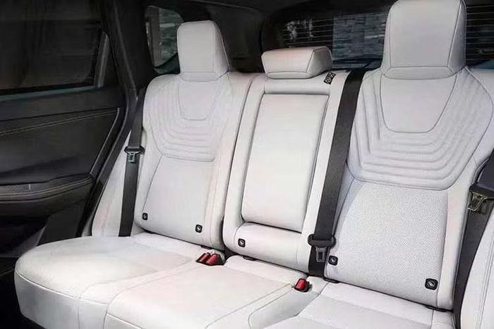 Những trang bị tùy chọn của xe gồm ghế không trọng lực có chức năng điều hòa và hệ thống đèn viền nội thất 64 màu. Bên cạnh đó là gói công nghệ an toàn chủ động ProPilot ADAS được nâng cấp với các tính năng cao cấp hơn như tự động chuyển làn, hỗ trợ lái khi kẹt xe mà không cần chạm tay vào vô lăng và hệ thống camera 360 độ 3D HD với tính năng quan sát dưới gầm.