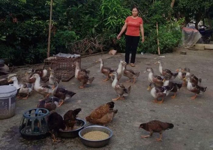 Chị Nguyễn Kim Đậm đã thay đổi tư duy chăn nuôi khi tham gia lớp học chăn nuôi của Trung tâm GDNN-GDTX, Tin học và Ngoại ngữ tỉnh Lạng Sơn. Ảnh NVCC.