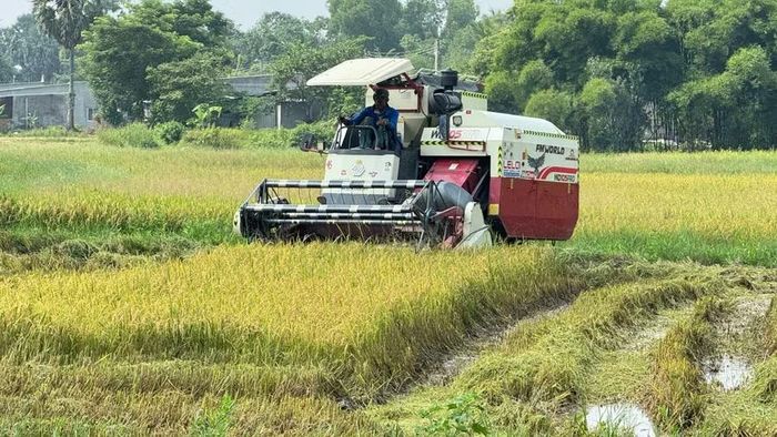 Nông dân Khmer đưa cơ giới vào đồng ruộng.