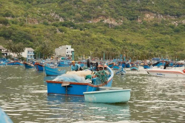 Khánh Hòa đang hướng tới xây dựng nền tảng khoa học, dữ liệu và nghiên cứu chuyên sâu về đại dương. (Ảnh: Bích Phương)