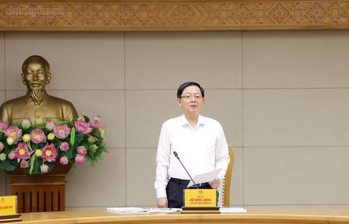 Phó Thủ tướng Hồ Quốc Dũng kết luận cuộc họp - Ảnh: CP