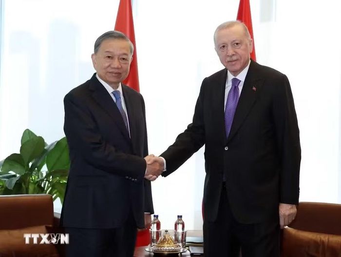 Tổng Bí thư, Chủ tịch nước Tô Lâm gặp Tổng thống Thổ Nhĩ Kỳ Recep Tayyip Erdogan. (Ảnh: Thống Nhất/TTXVN)