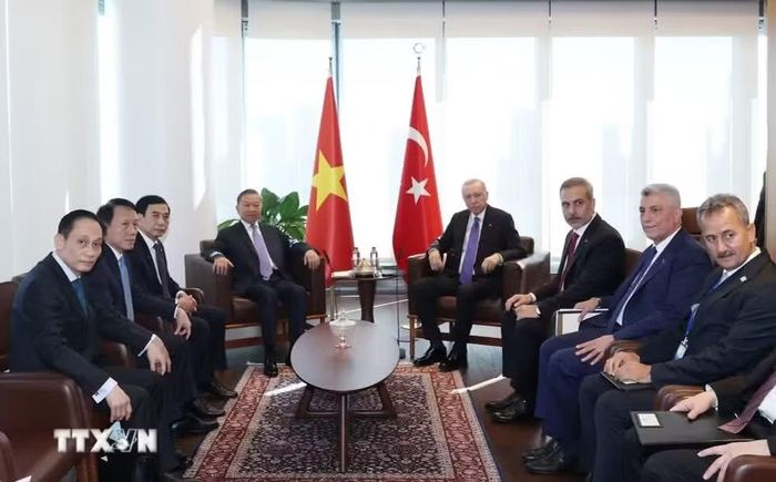Tổng Bí thư, Chủ tịch nước Tô Lâm gặp Tổng thống Thổ Nhĩ Kỳ Recep Tayyip Erdogan. (Ảnh: Thống Nhất/TTXVN)